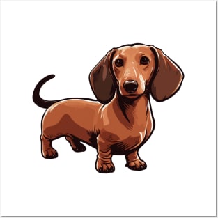 Classic Dachshund Posters and Art